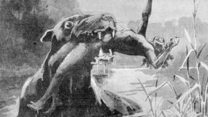 An 1890 drawing of a bunyip attacking a human