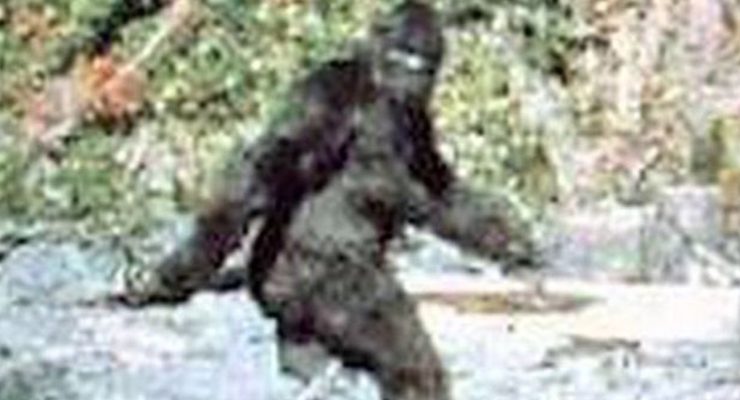 Grainy image of a Bigfoot