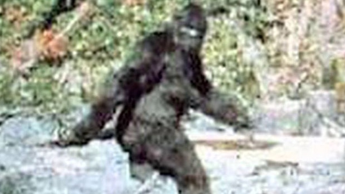 Bigfoot