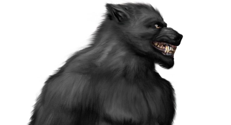 A computer generated image of a werewolf/rougarou