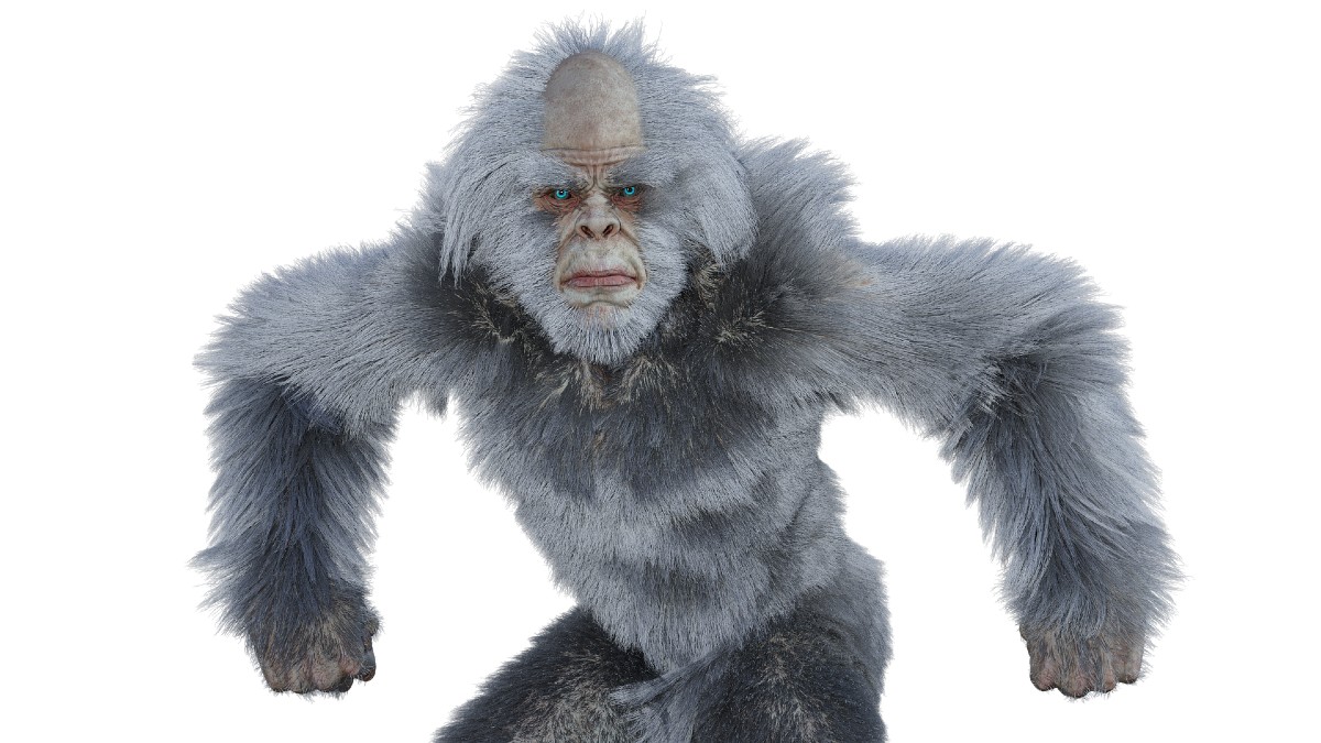 Yeti