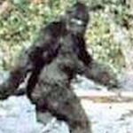 Blurry image of a Bigfoot