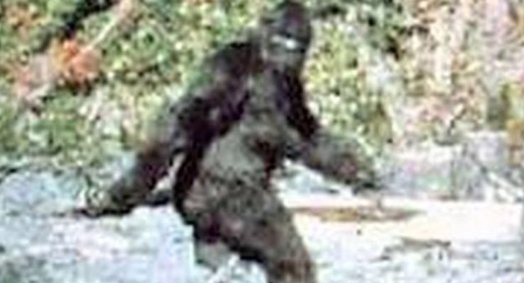 Blurry image of a Bigfoot