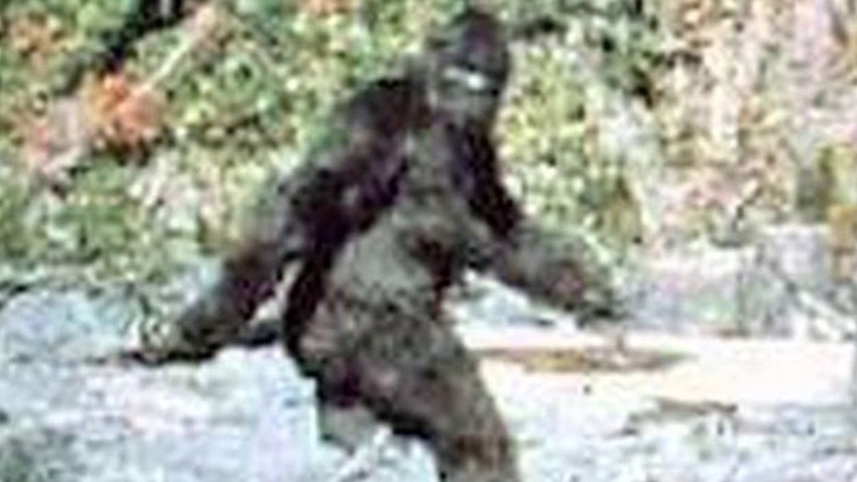 Blurry image of a Bigfoot