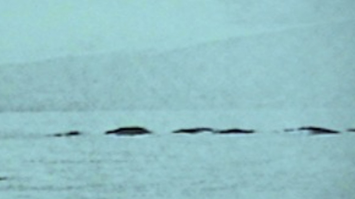 Ogopogo