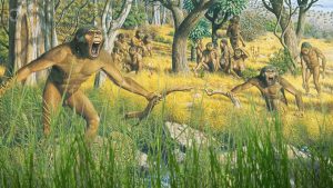 Cartoon image of early ape-like hominids