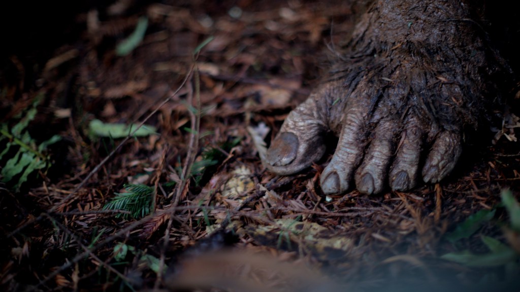 A big foot but is it a Bigfoot?