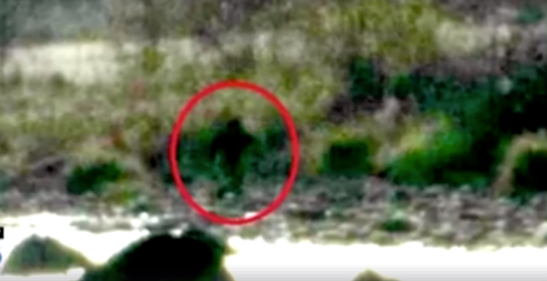 Bigfoot sighting photo