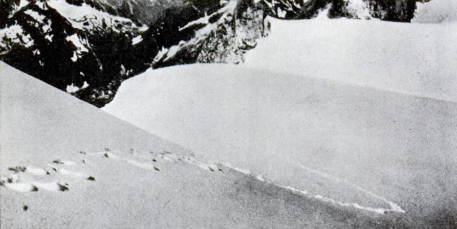 Frank S. Smythe's photograph of alleged Yeti footprints taken in 1937