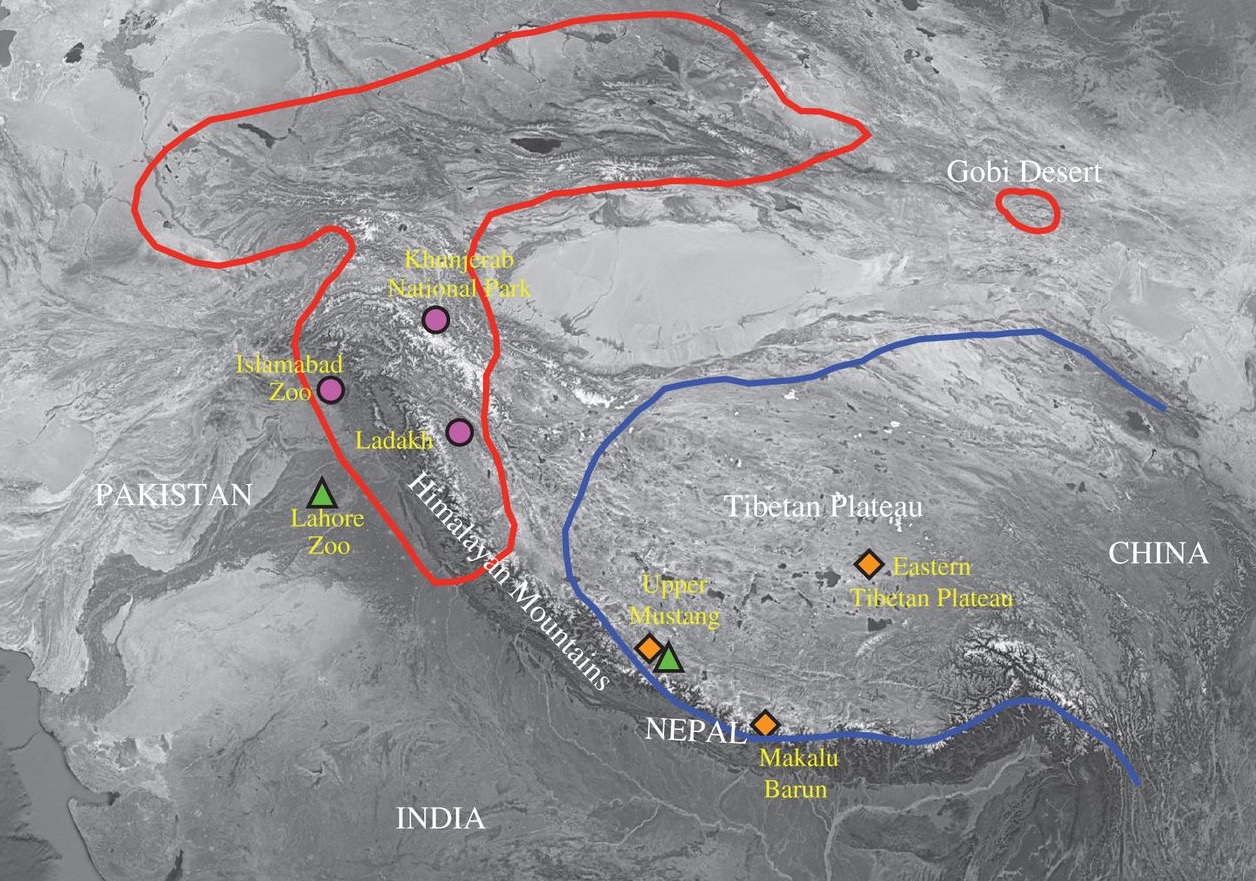 Map showing bear populations where yeti samples were taken