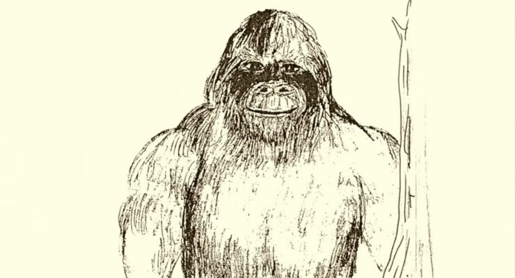 Drawing of a Grassman