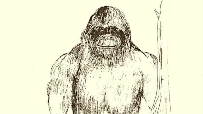 Drawing of a Grassman