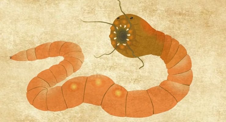 An artist's impression of a Mongolian Death Worm
