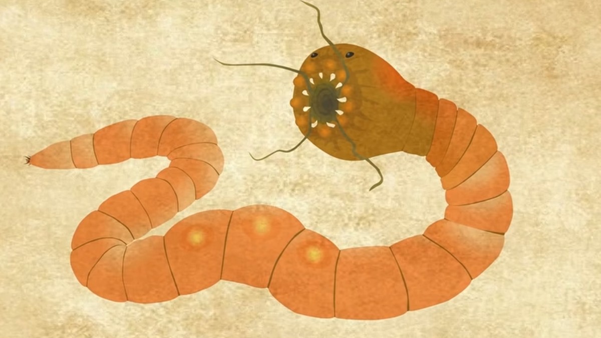 Mongolian Death Worm