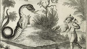 A Tatzelwurm attacks