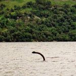 An image of Nessie in Loch Ness