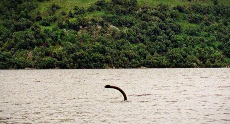 An image of Nessie in Loch Ness