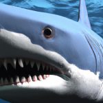 Megalodon imagined by AI