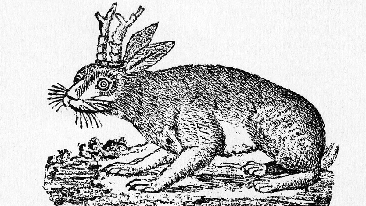 Wolpertinger