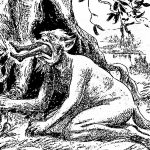 A drawing of a Yowie from 1907