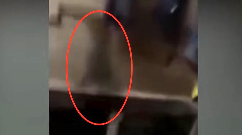 The ghostly figure from the footage