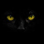 The cryptid Mitla