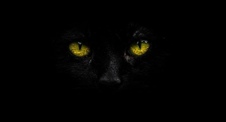 The cryptid Mitla