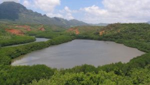 Alekoko Fishpon Hawaii