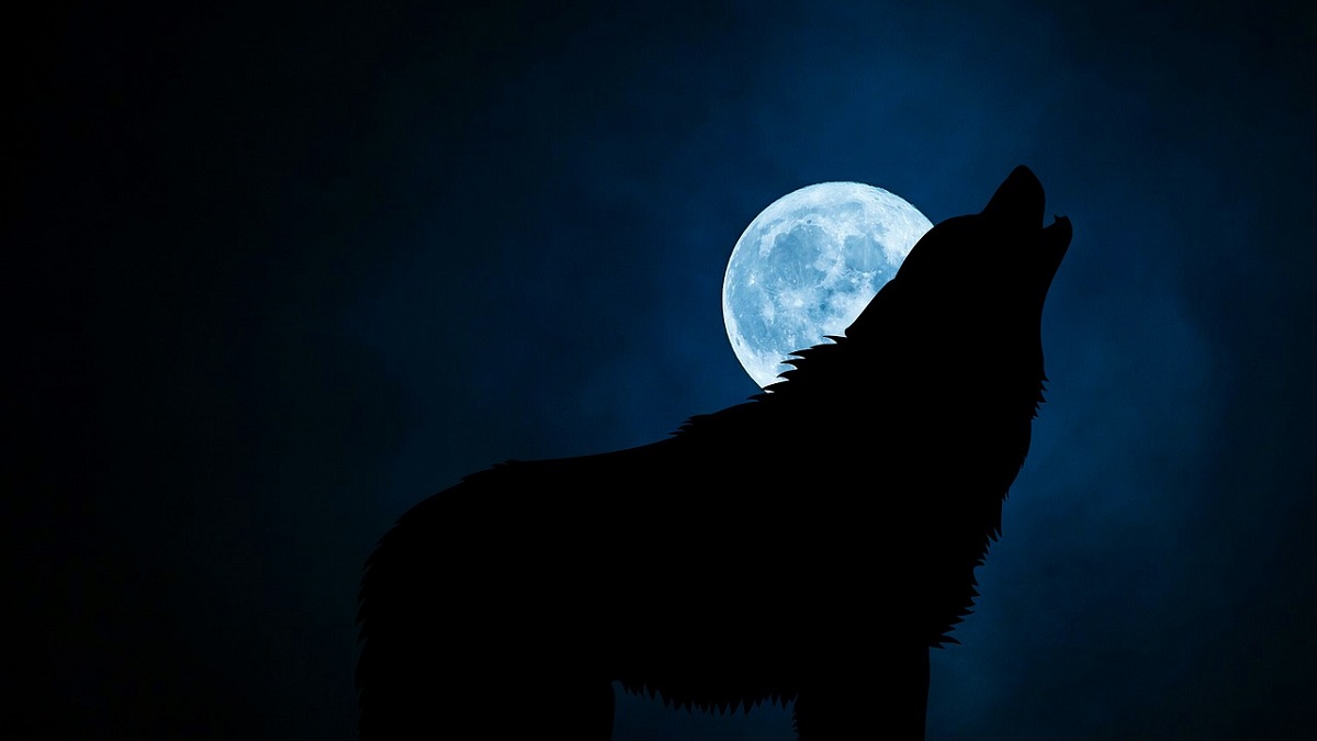 Black Shuck