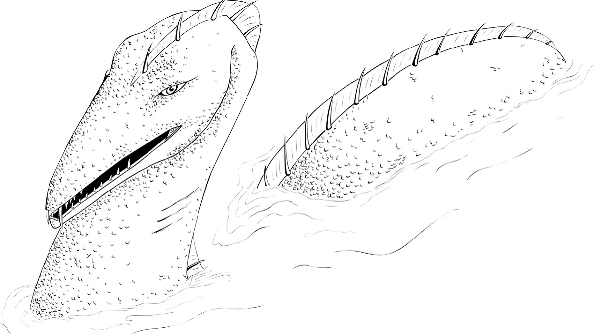 Cadborosaurus
