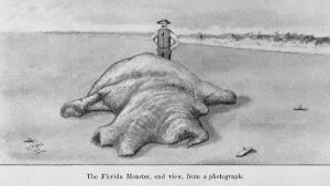 The Florida Monster