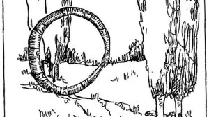 Hoop Snake