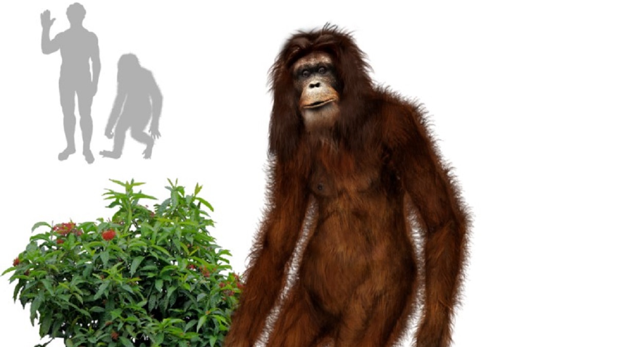 Orang Pendek