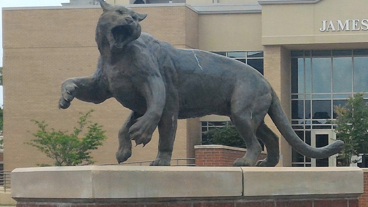 Wampus Cat