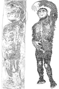 The Minnesota Iceman