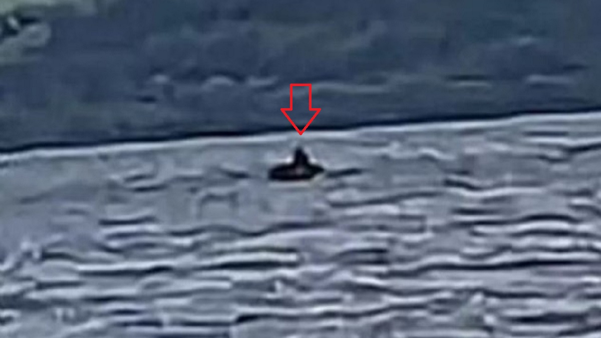 Nessie-sighting