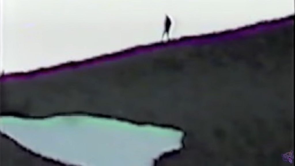 Bigfoot