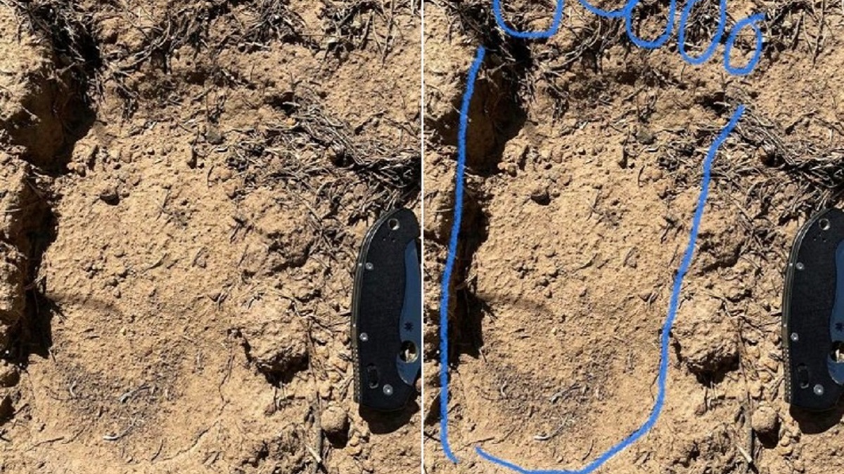 Bigfoot-new-mexico-1