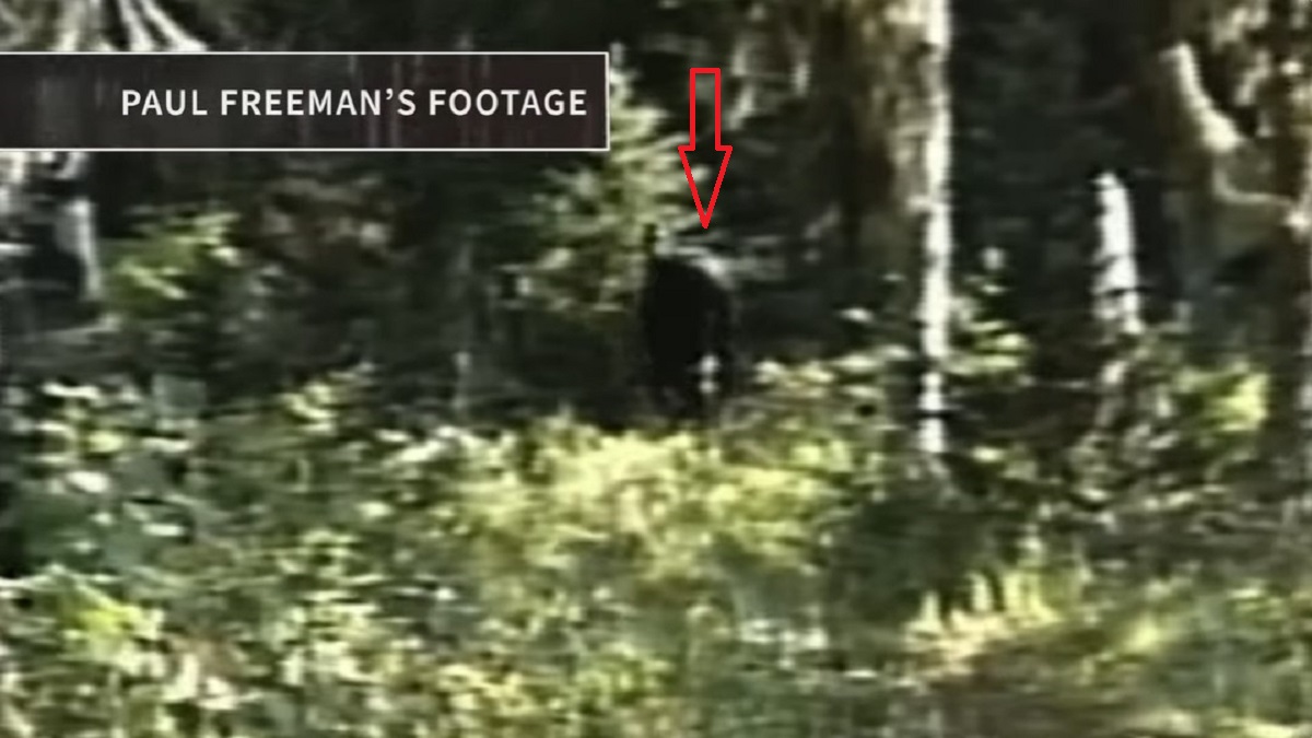 Freemans-Bigfoot-footage-3