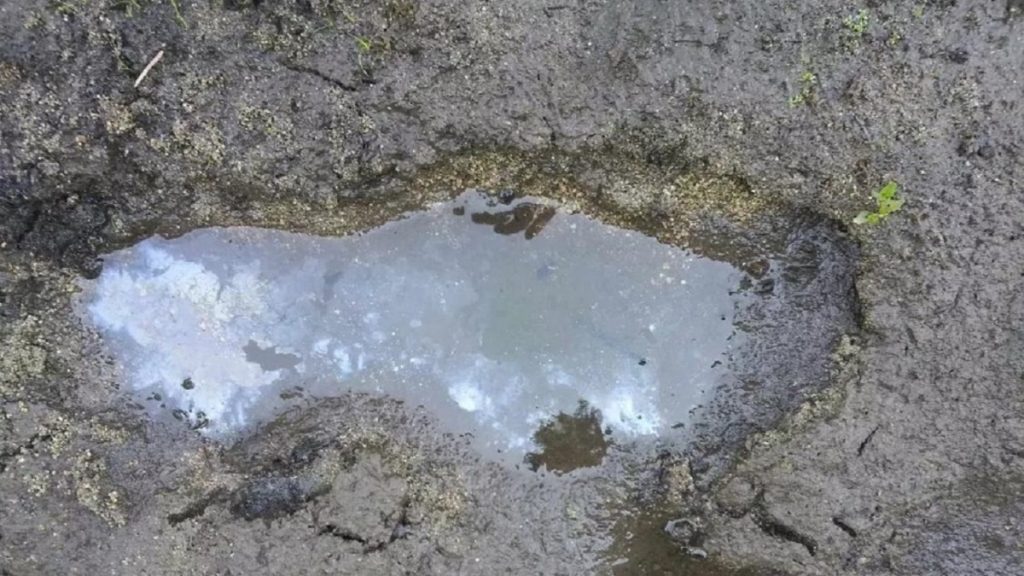 Bigfoot print