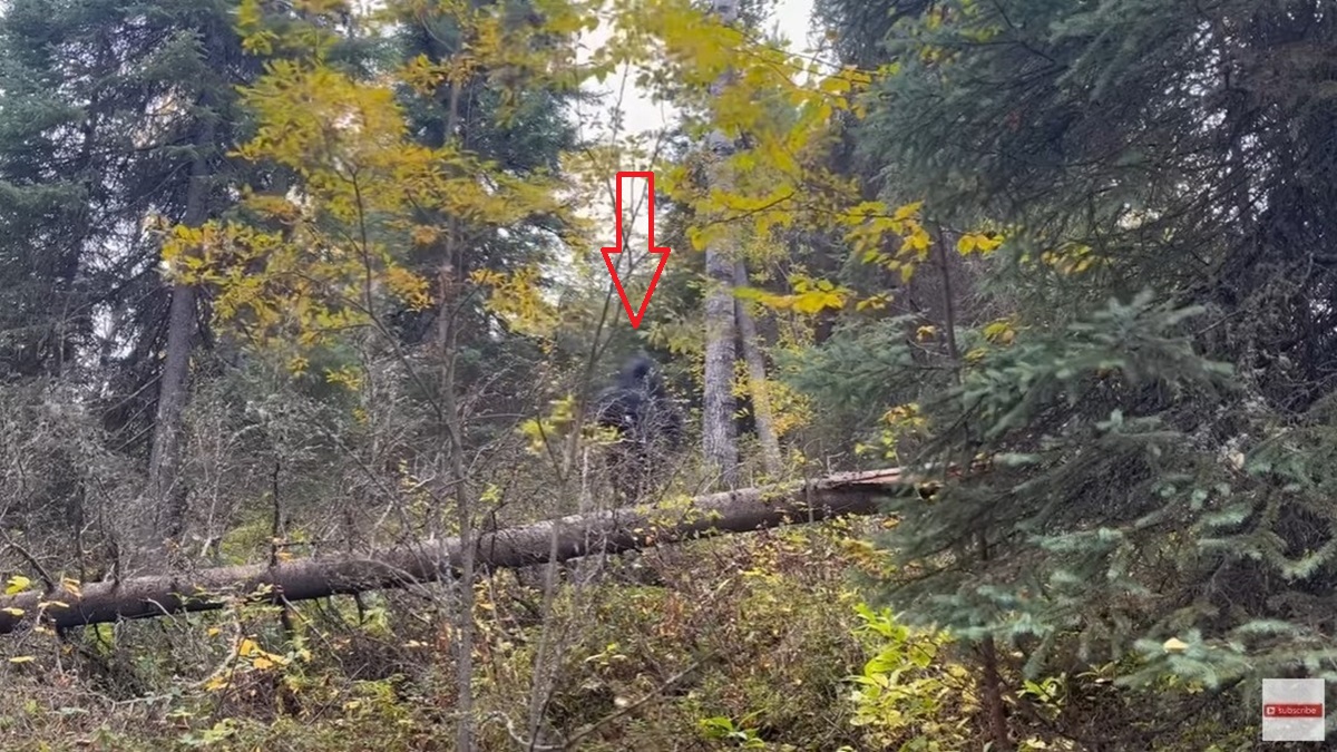 Angry-Bigfoot-woods