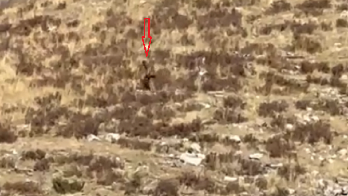 Bigfoot-from-train