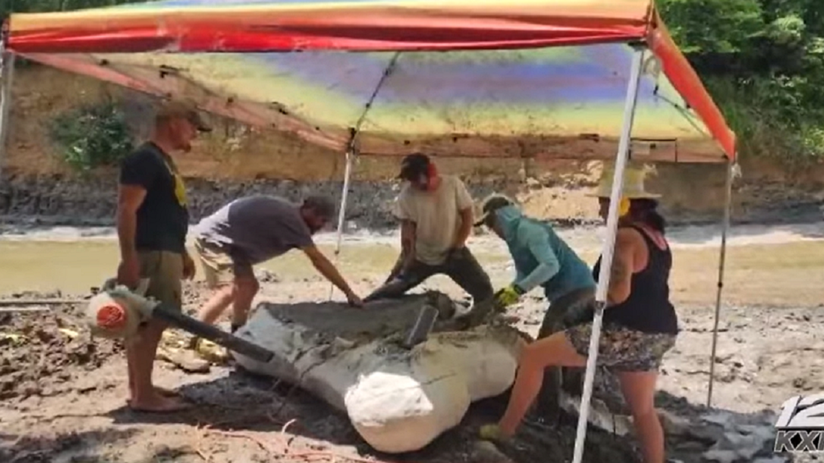 Loch-Ness-Monster-like-dinosaur-fossil-
