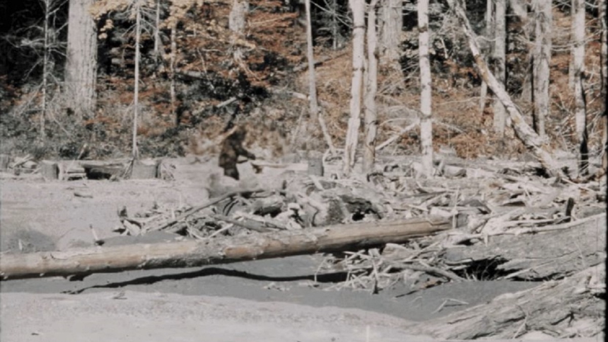 Patterson-Gimlin-Bigfoot-footage