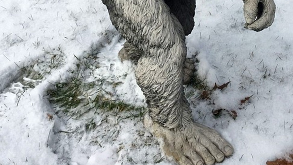 Bigfoot-Shaq-ONeal-1