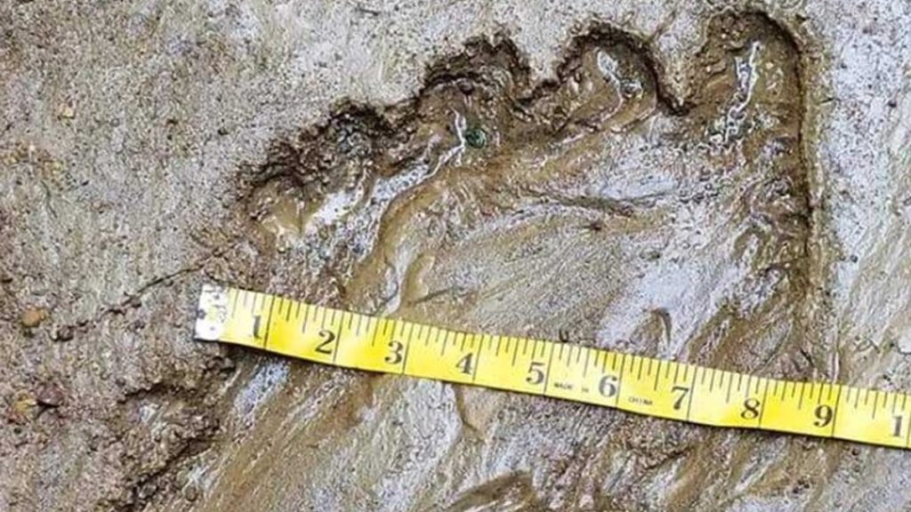 Bigfoot print