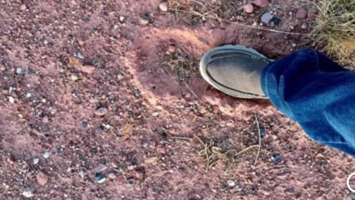 Sasquatch-footprint
